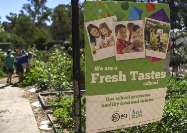 Image of school food garden entrance