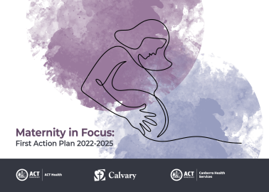 Maternity in Focus First Action Plan